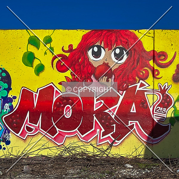 Saint Louis City Flood Wall (South Wall) by Ryan Hildebrand