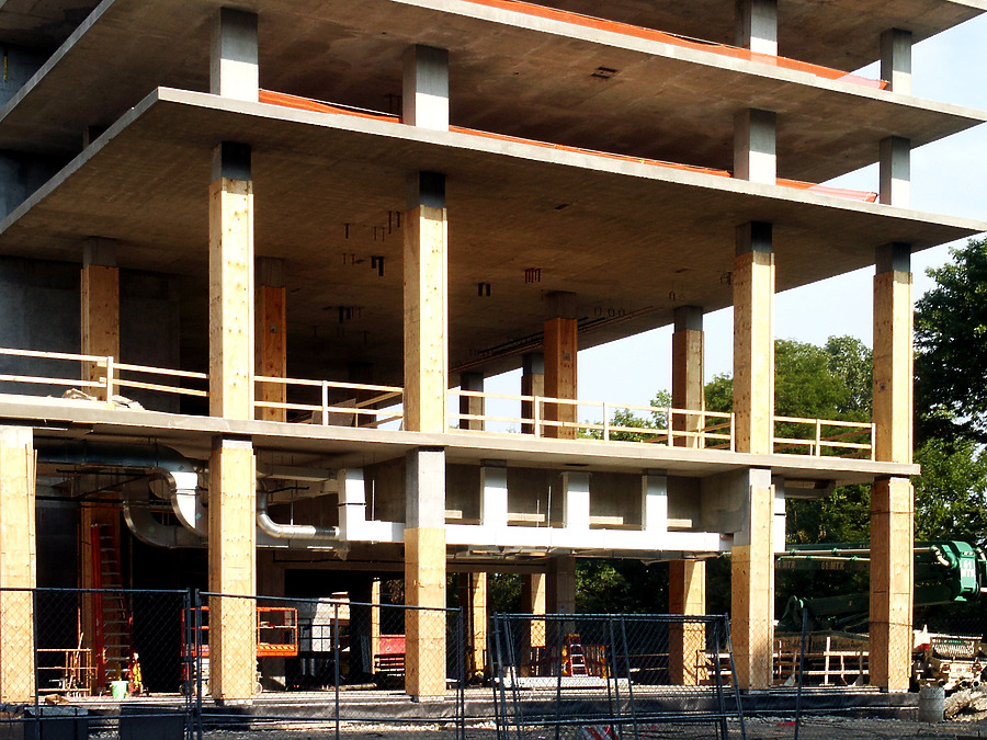 Optima Old Orchard Woods by Daniel Kieckhefer