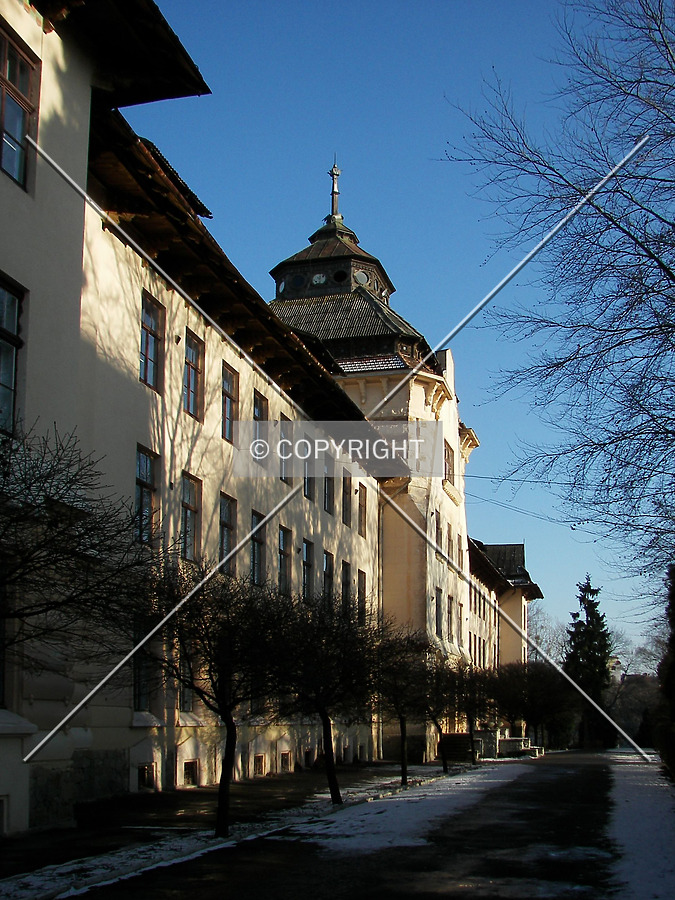 Administrative Building of Ukrainian National Forestry University by Alexander Shutyuck