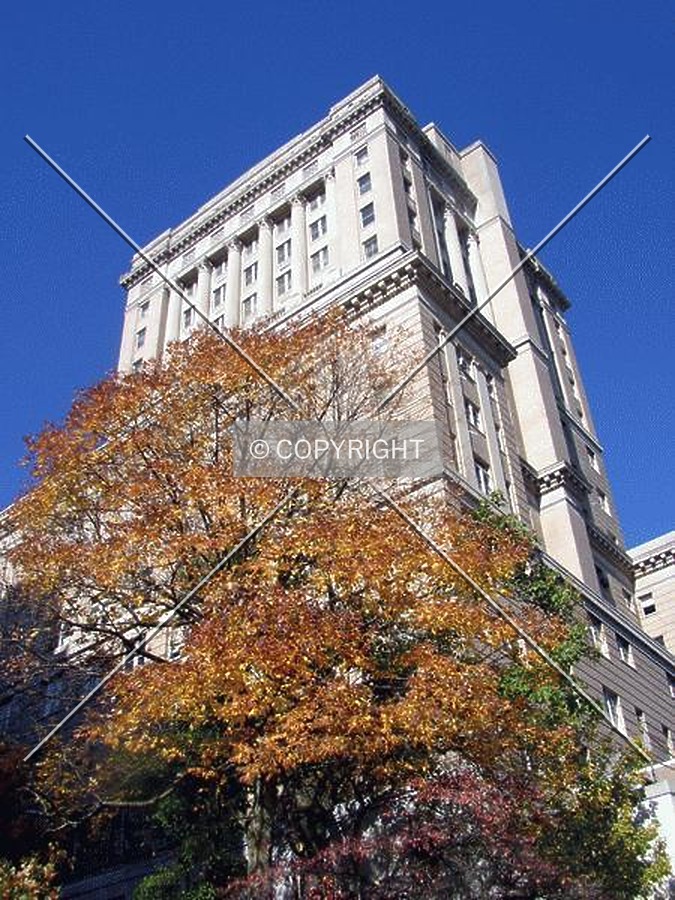 Buncombe County Courthouse by Chris Patriarca