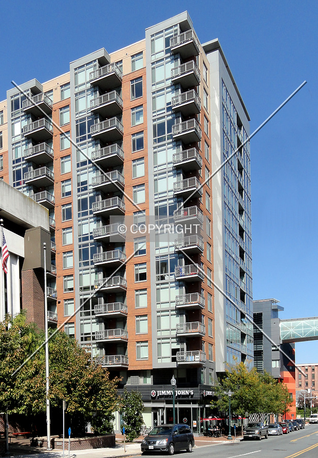 The Cameron by Chris Patriarca