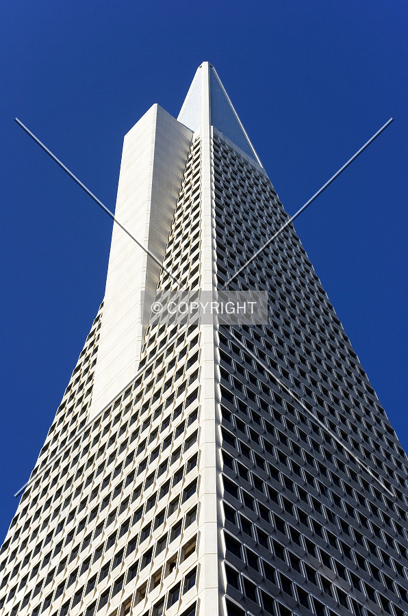 Transamerica Pyramid by Serdica