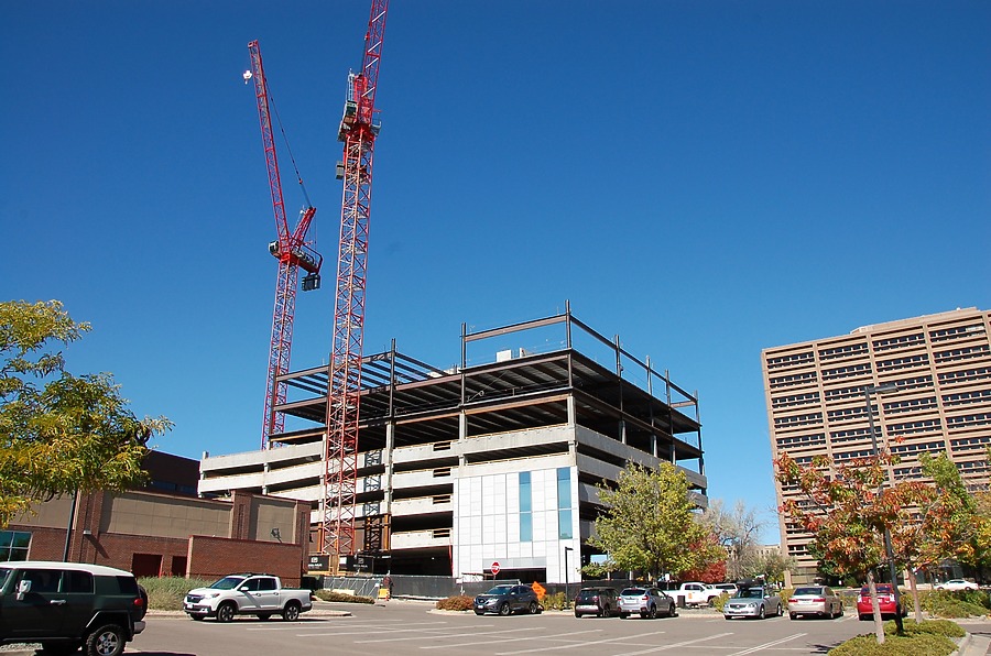 50 Fifty DTC by Brian LoBue