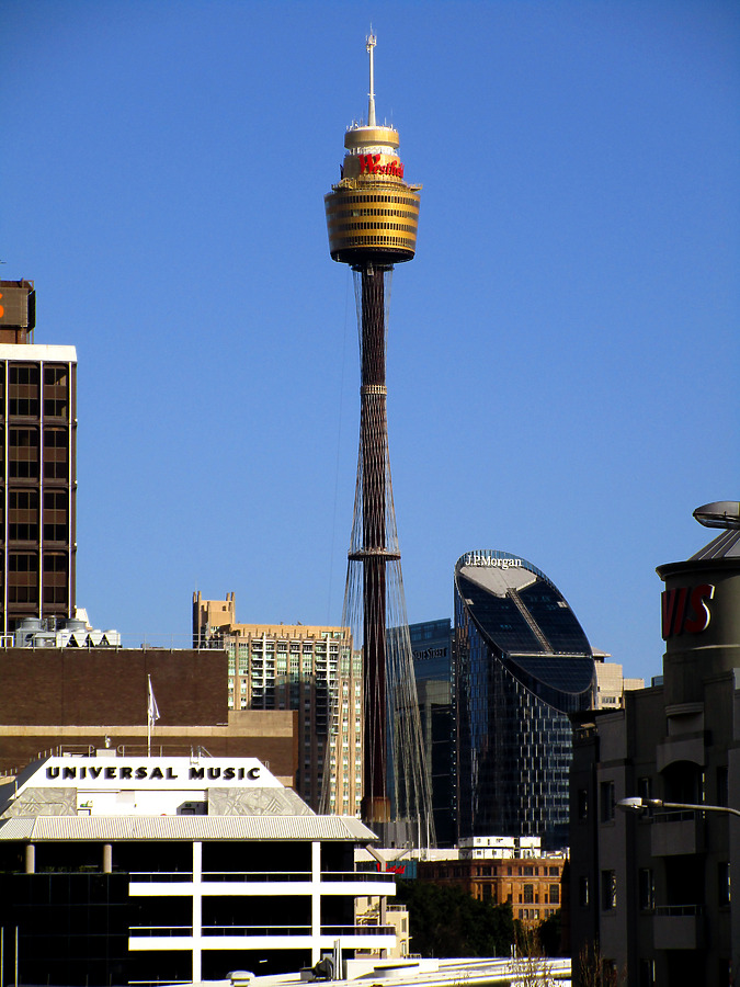 Sydney Tower by Daniel Kieckhefer
