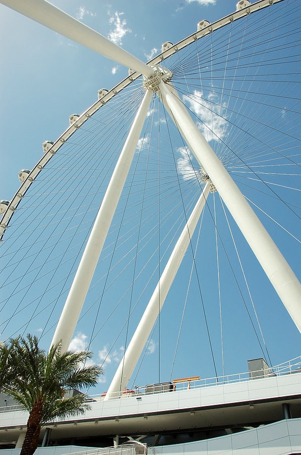 High Roller by Brian LoBue