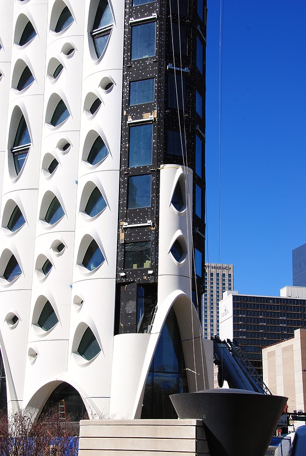 Populus by Brian LoBue