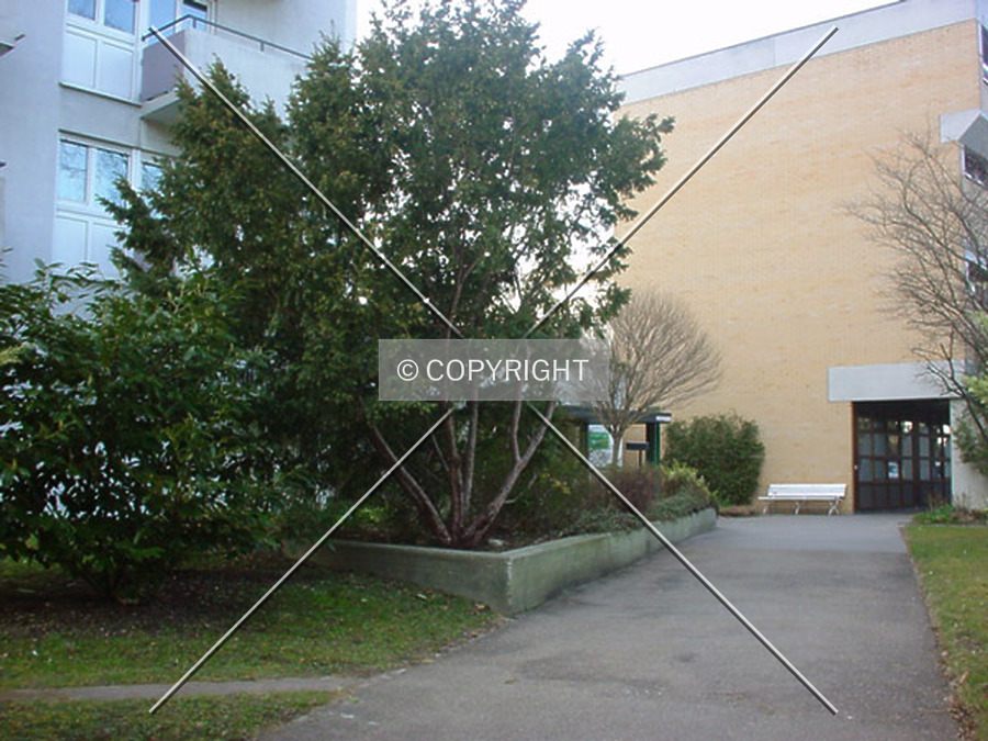 Bienengarten by Nephilim