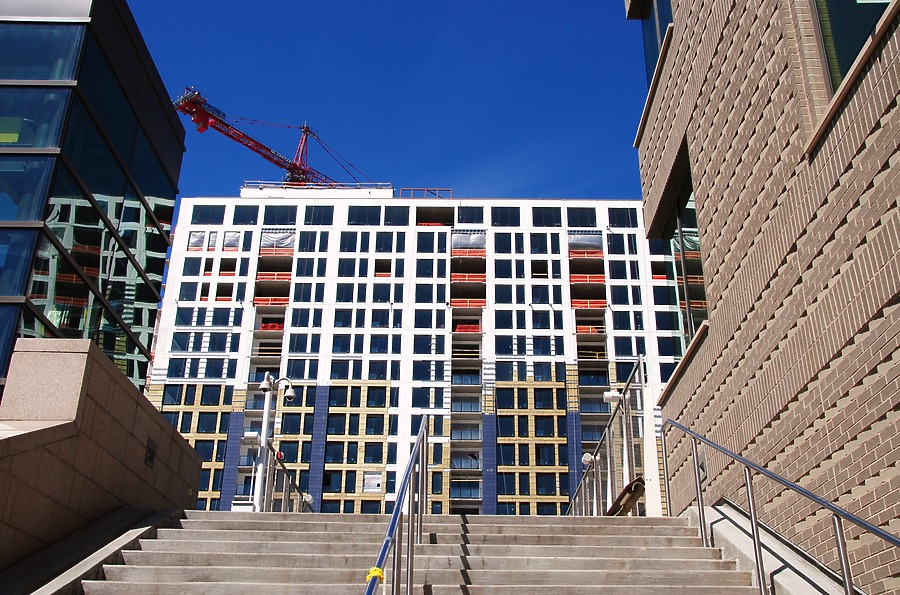 The Coloradan by Brian LoBue