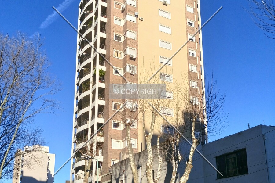 Sáenz 244