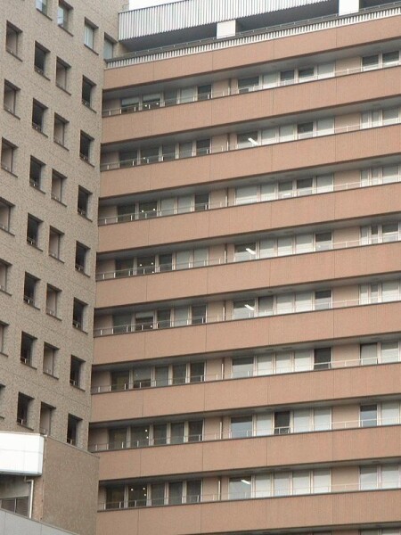 University of Tokyo Hospital
