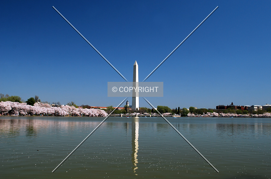 Washington Monument by Royce Douglas