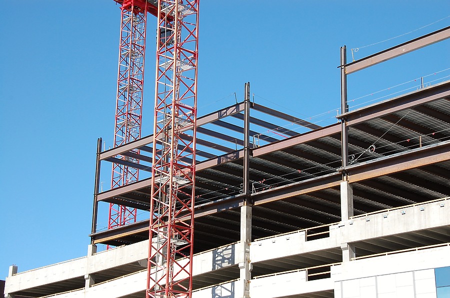 50 Fifty DTC by Brian LoBue