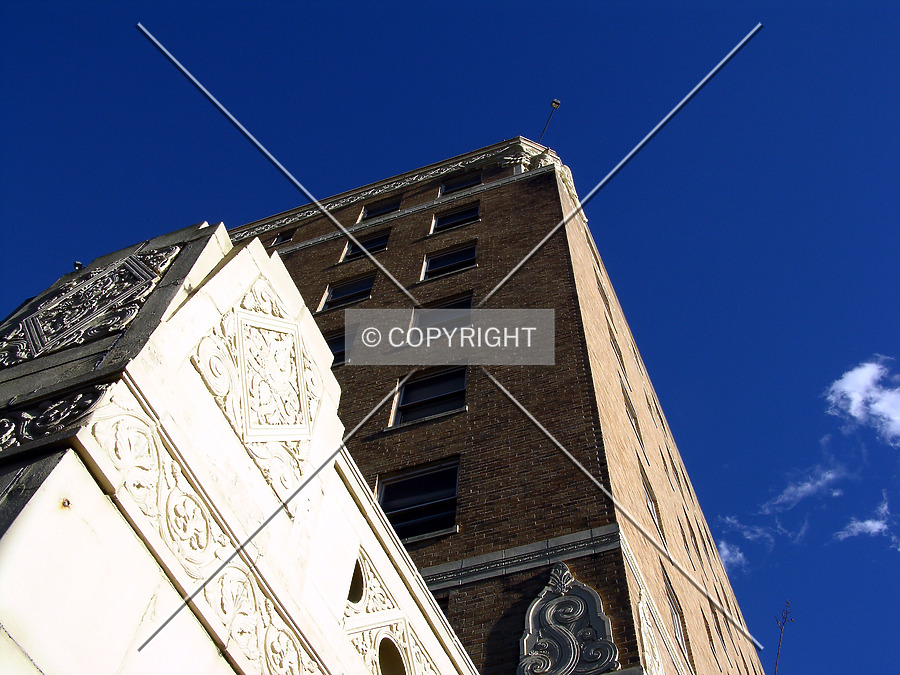 Forrest Hotel by Chris Patriarca