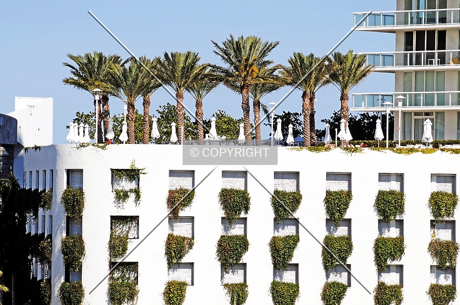 ICON at South Beach by Jorge Molina