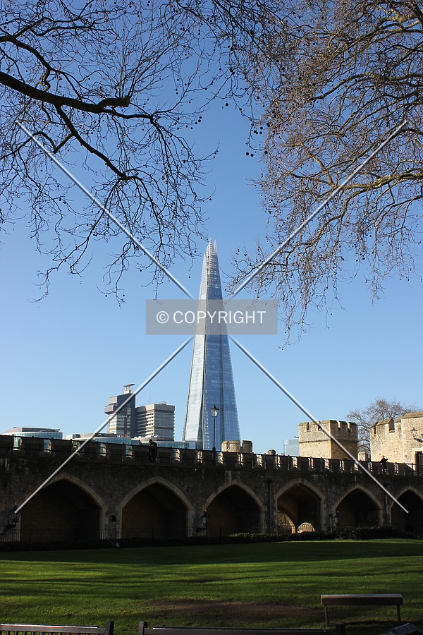 The Shard by Florian Barbier
