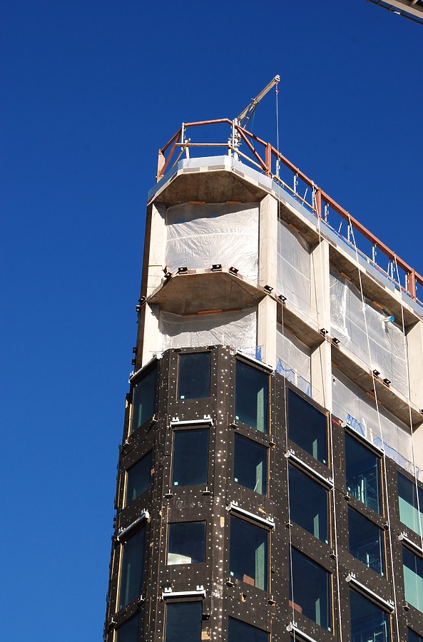 Populus by Brian LoBue