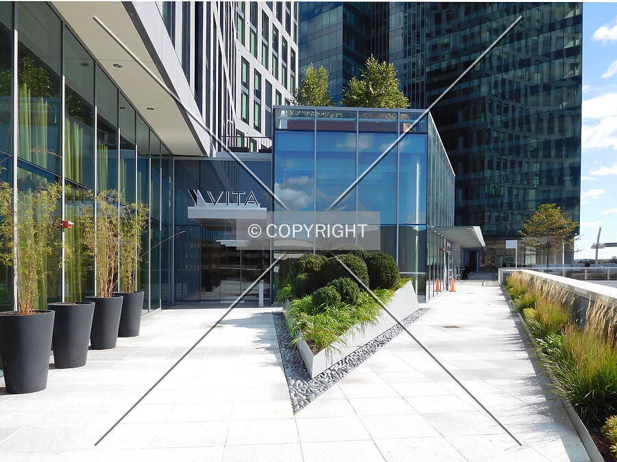 Vita by Chris Patriarca