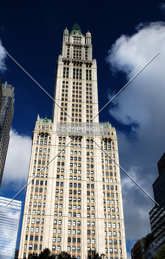 Woolworth Building by Royce Douglas