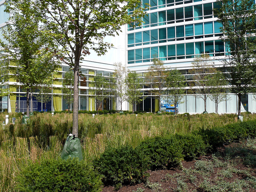 Streeter Place by B. Victor Adams