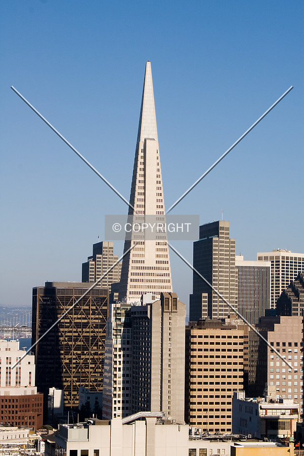Transamerica Pyramid by Martin Bugajski