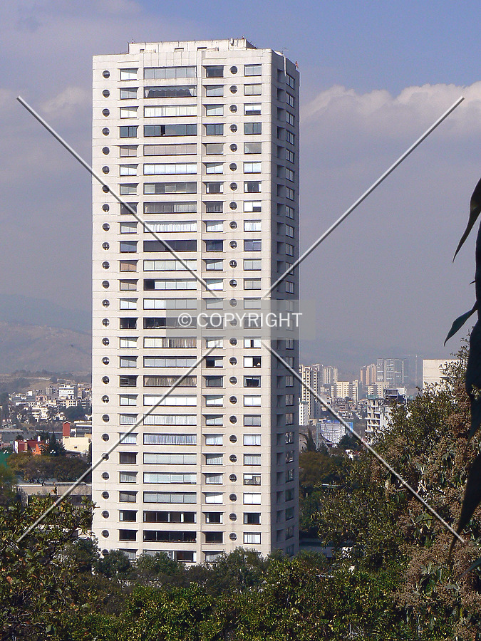 Frondoso Lomas Anáhuac 6 by Luis Ibáñez