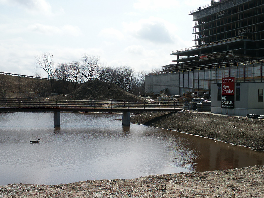 Optima Old Orchard Woods by Daniel Kieckhefer