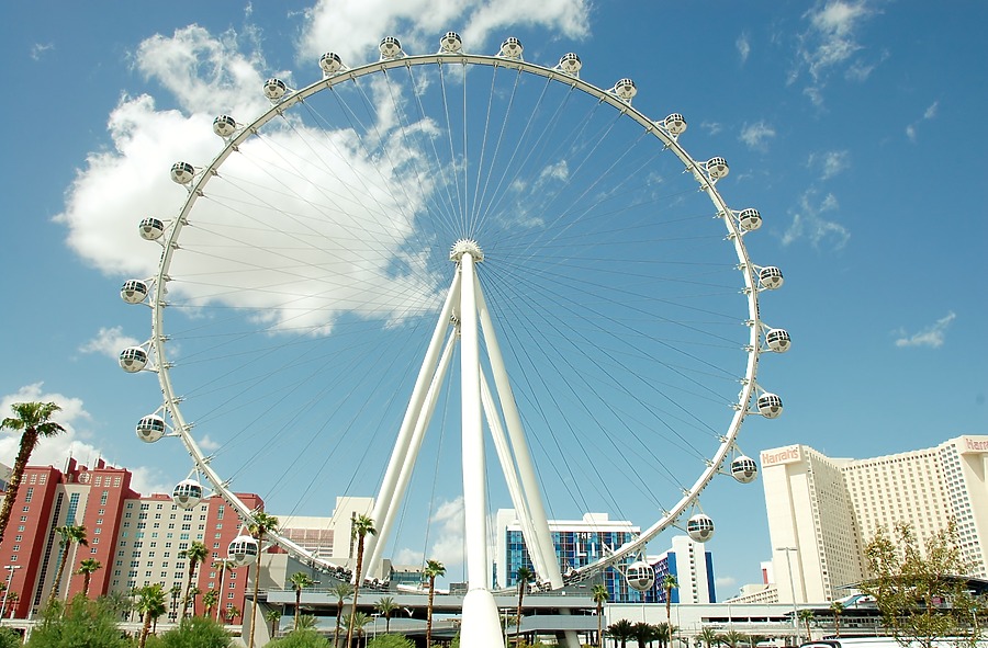 High Roller by Brian LoBue