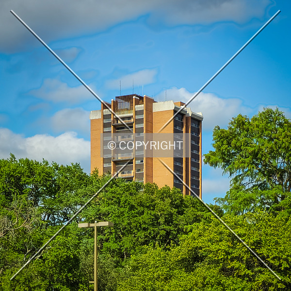 Stark Hall by Ryan Hildebrand