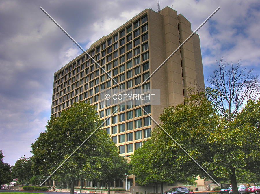 Watterson Towers by Lizzie Morrison