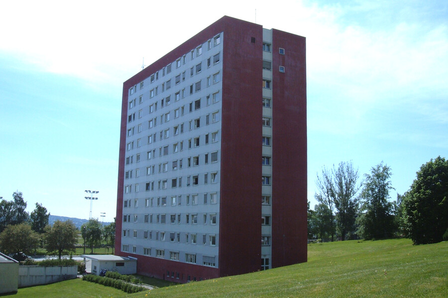 Bjerkegløtt