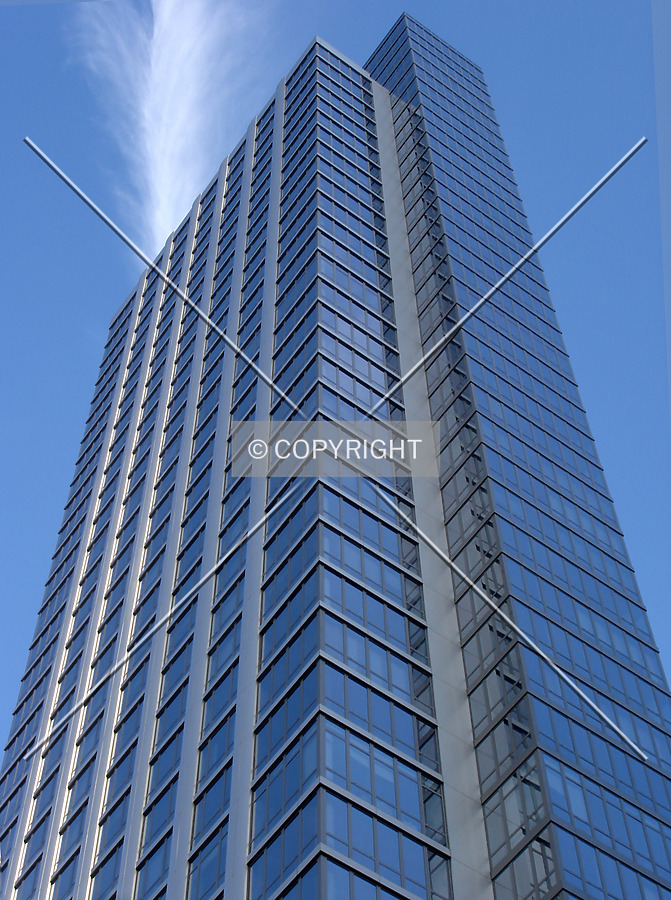 The Link by Royce Douglas