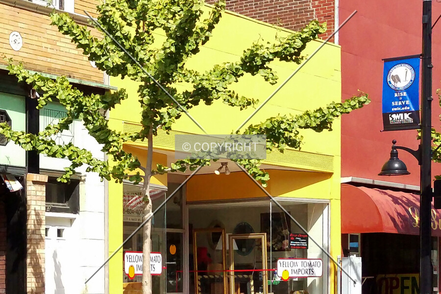 119 East Main Street