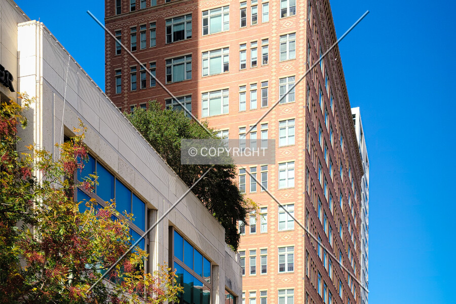 Chase Building
