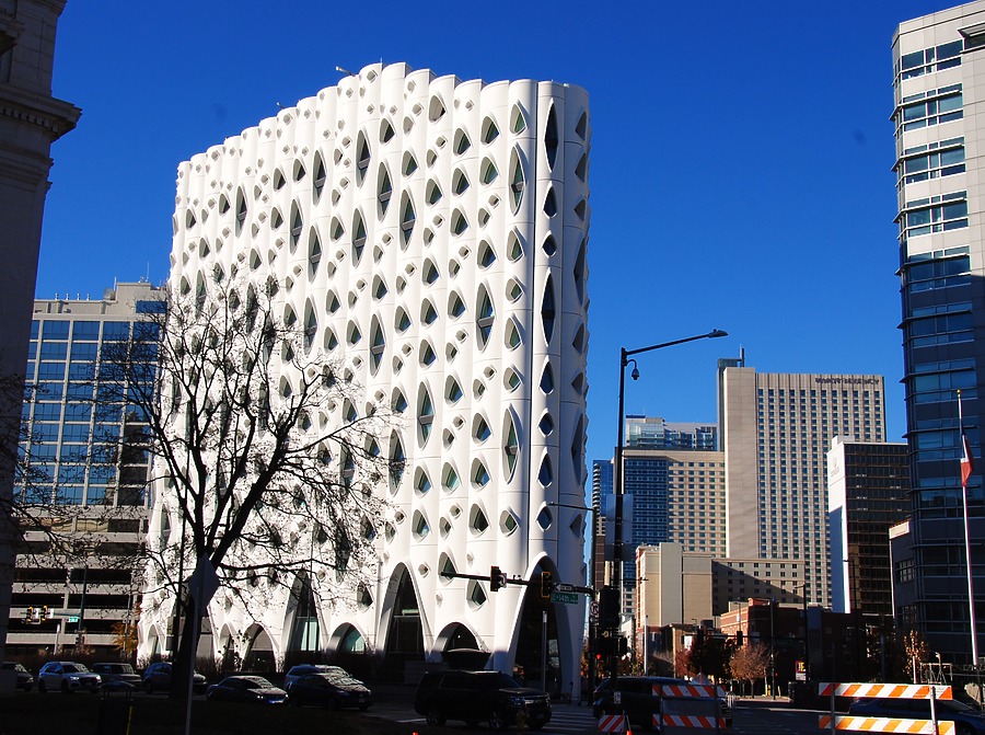 Populus by Brian LoBue