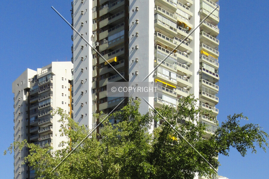 Riviera dei Fiori I