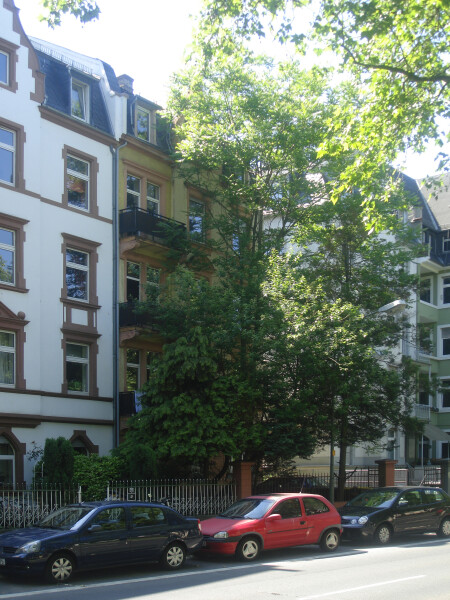 Habsburger Allee 20