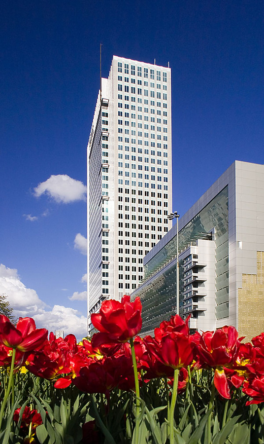 Warsaw Financial Center by Pavel Toczynski