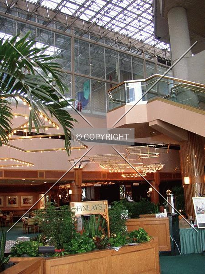 Palmetto Center by Chris Patriarca