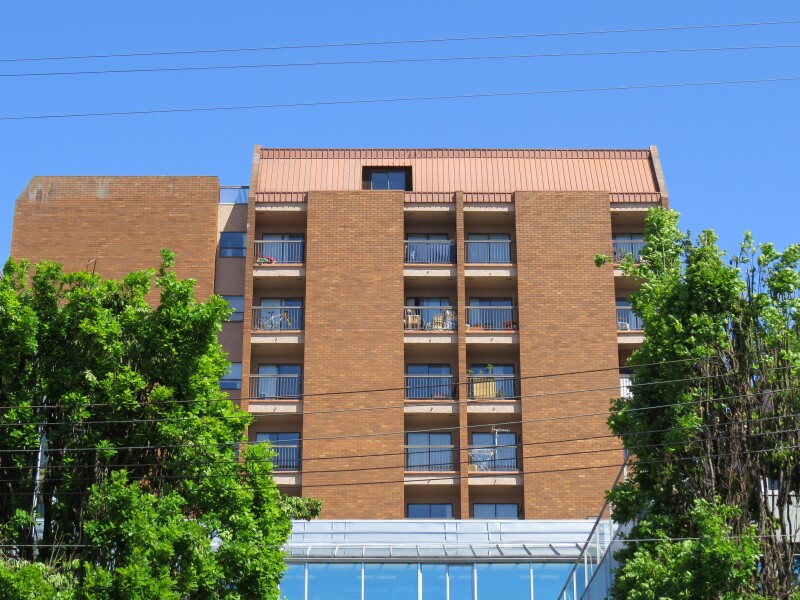The Chelsea