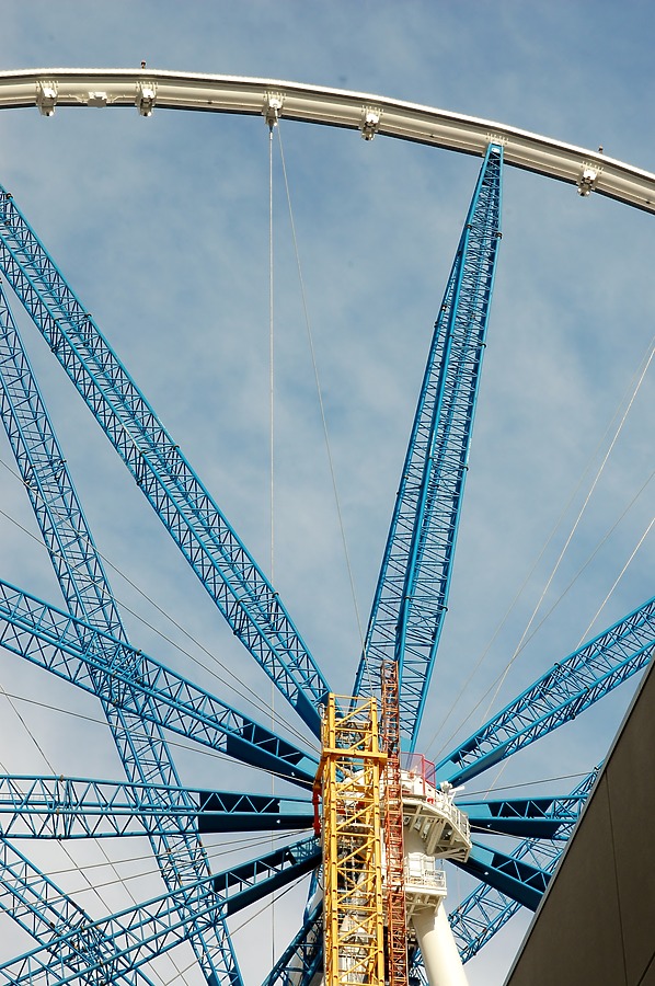 High Roller by Brian LoBue