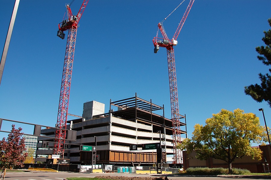 50 Fifty DTC by Brian LoBue