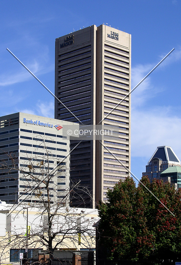 Transamerica Tower by Chris Patriarca