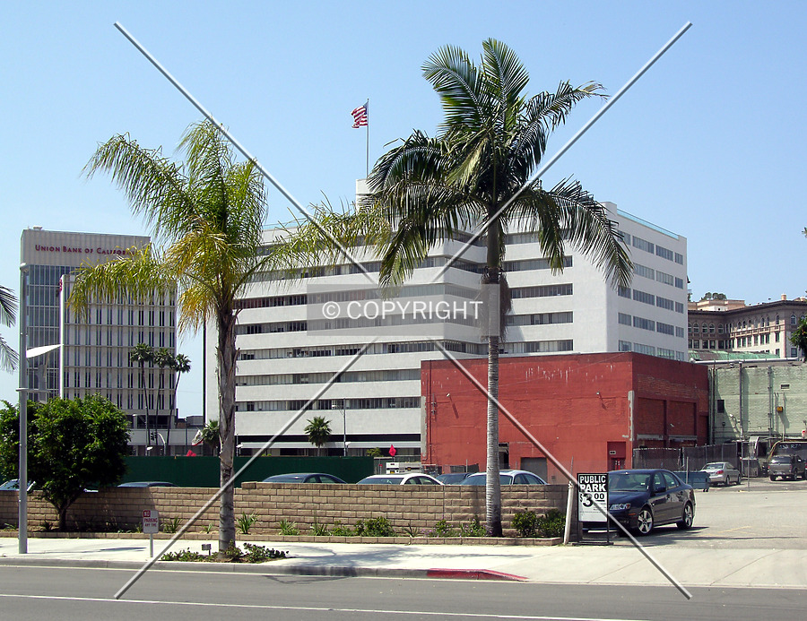 Bank of America Building by Chris Patriarca