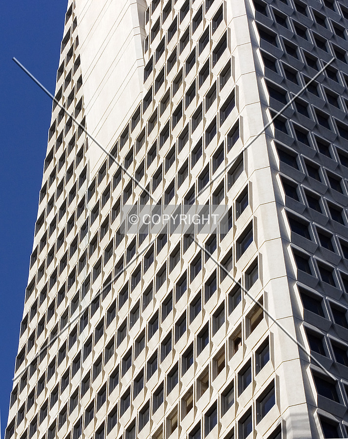 Transamerica Pyramid by Serdica
