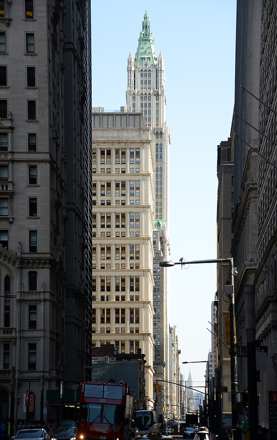 Woolworth Building by John W. Cahill
