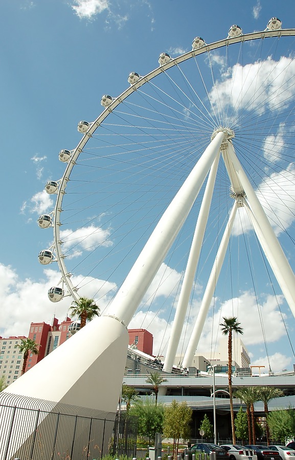 High Roller by Brian LoBue