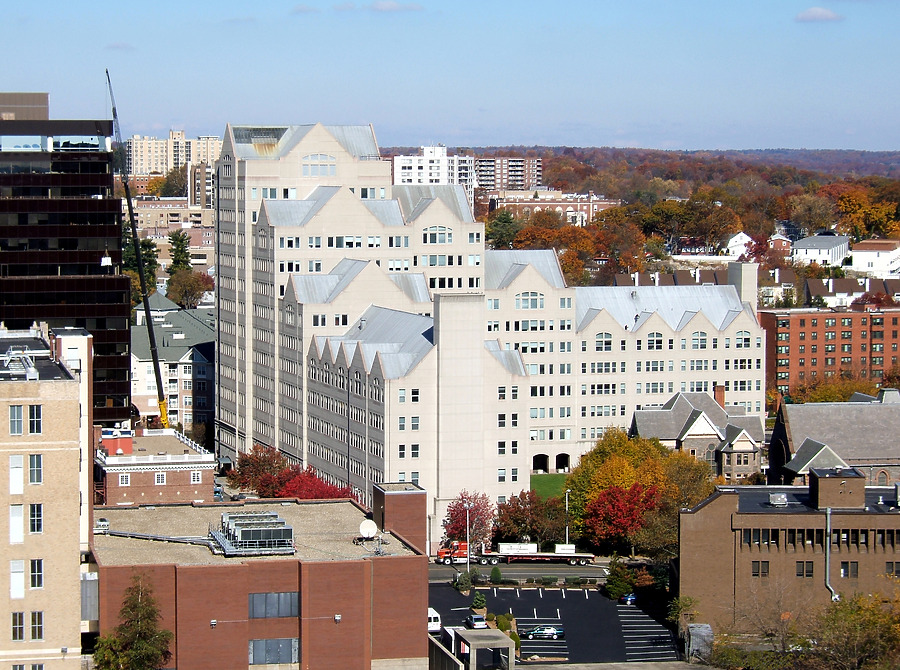Canterbury Green by John Cahill