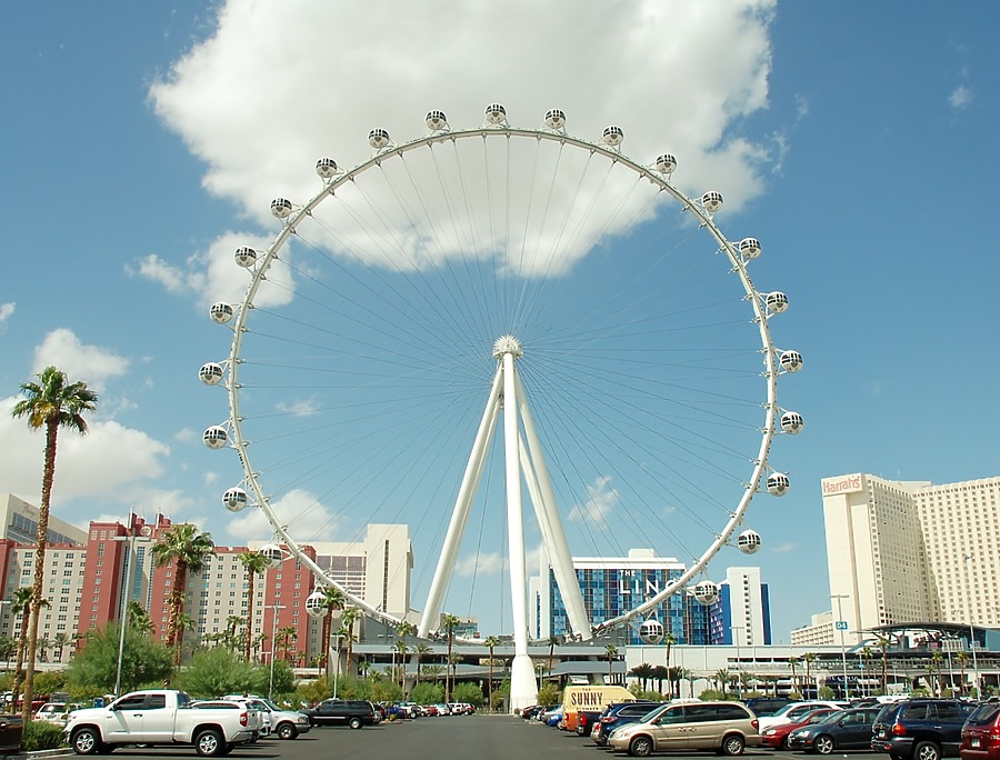 High Roller by Brian LoBue