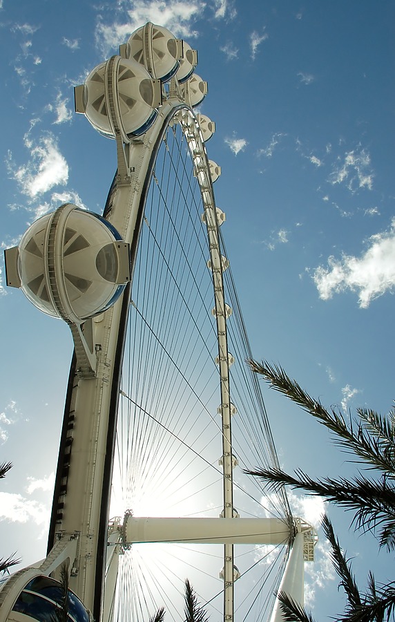 High Roller by Brian LoBue