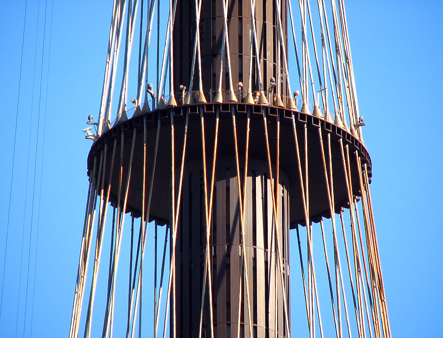 Sydney Tower by Wilson Ling